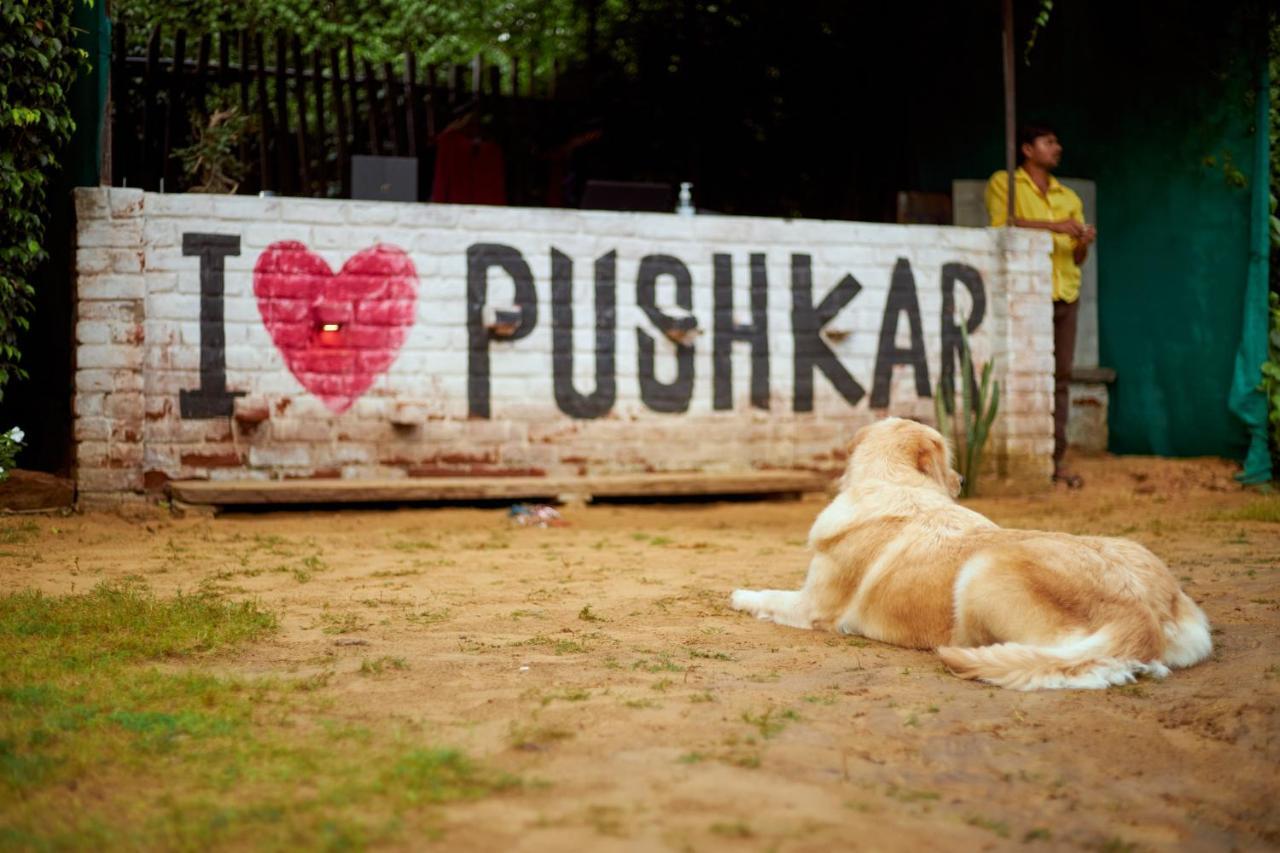 The Hosteller Pushkar Exteriör bild