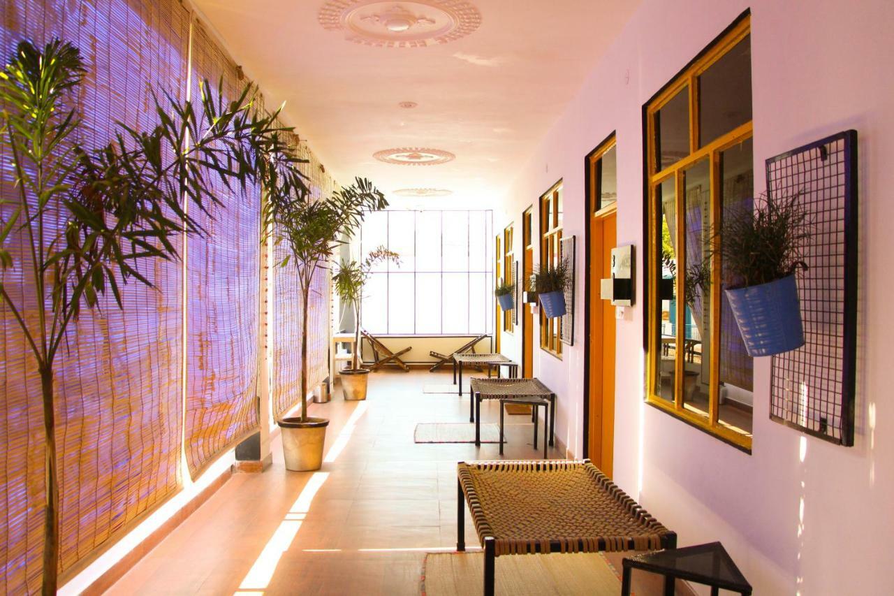 The Hostel Air Pushkar Exteriör bild
